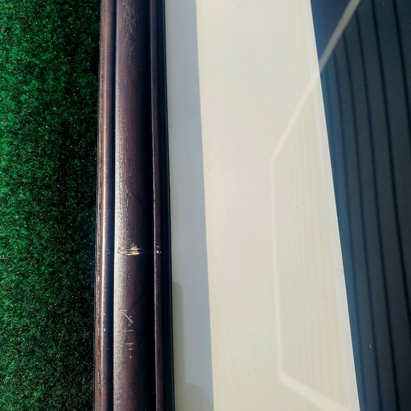 Thomas D. Mangelsen Out Of Darkness Bald Eagle Signed Framed Print Art 34"x28" - Picture 9 of 16